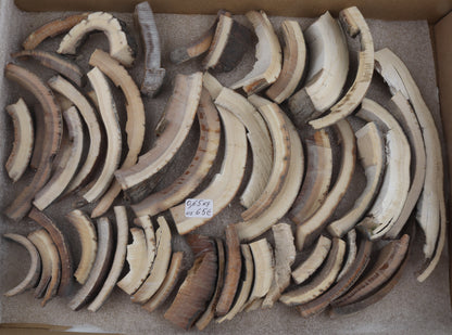 Raw mammoth ivory offcuts