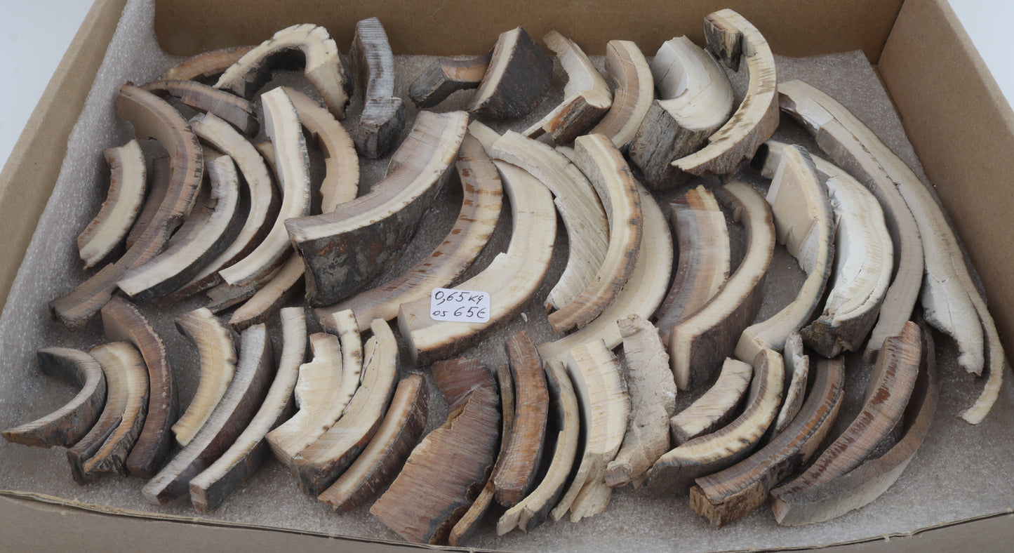 Raw mammoth ivory offcuts