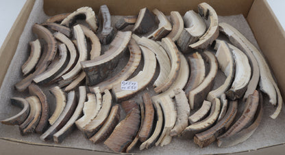 Raw mammoth ivory offcuts