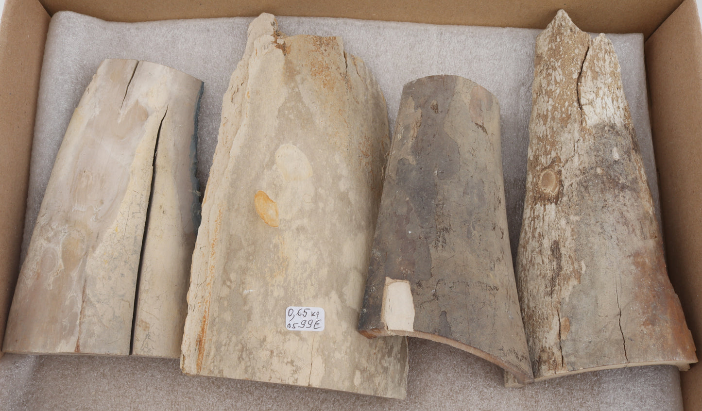 Raw mammoth ivory pieces