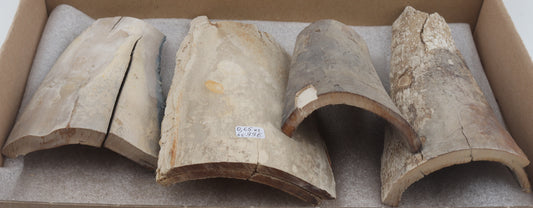 Raw mammoth ivory pieces
