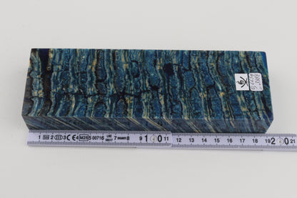 Stabilized mammoth molar block