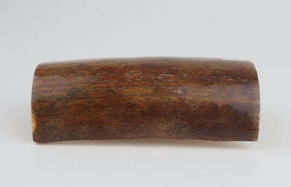Brown-caramel mammoth bark