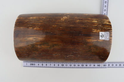 Brown-caramel mammoth bark