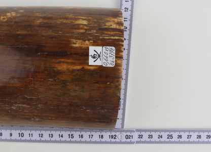 Brown-caramel mammoth bark