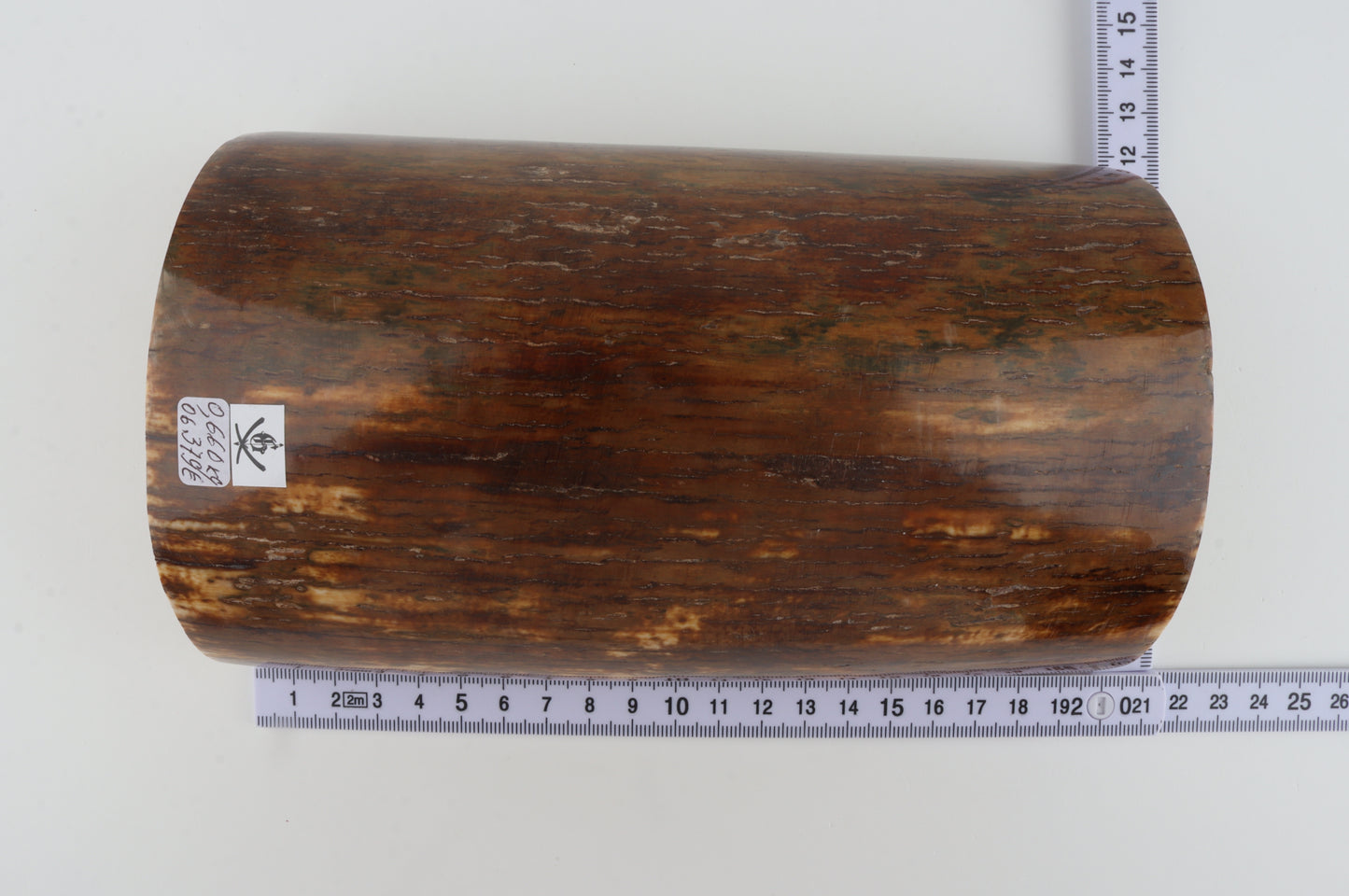 Brown-caramel mammoth bark