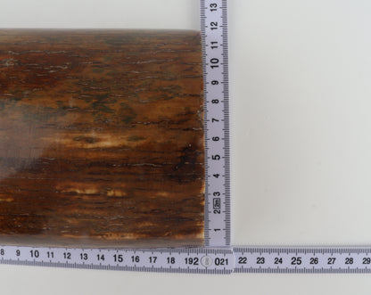 Brown-caramel mammoth bark