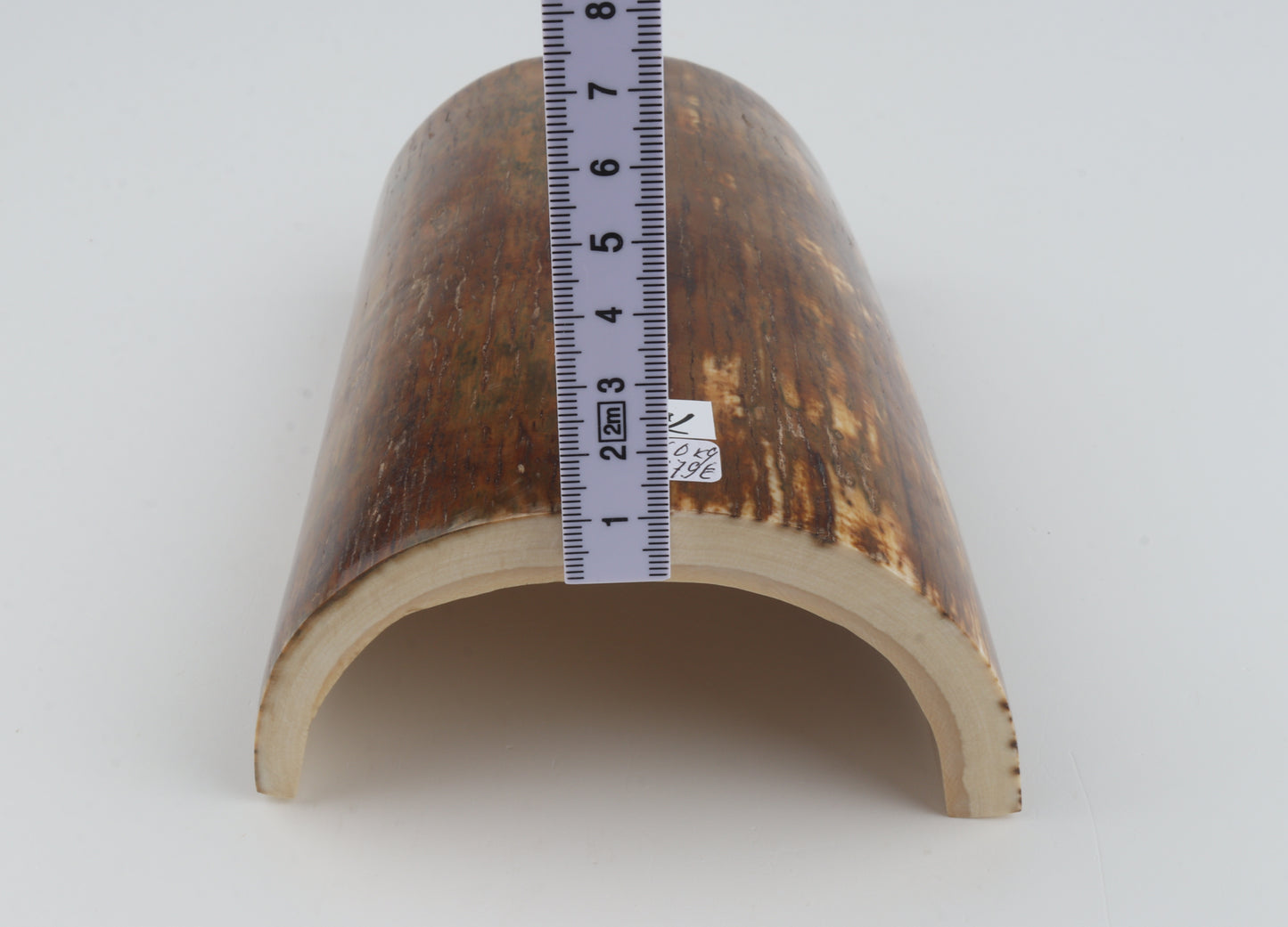 Brown-caramel mammoth bark