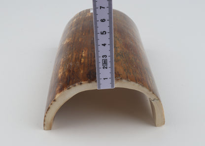 Brown-caramel mammoth bark