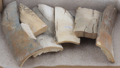 Untreated mammoth ivory pieces