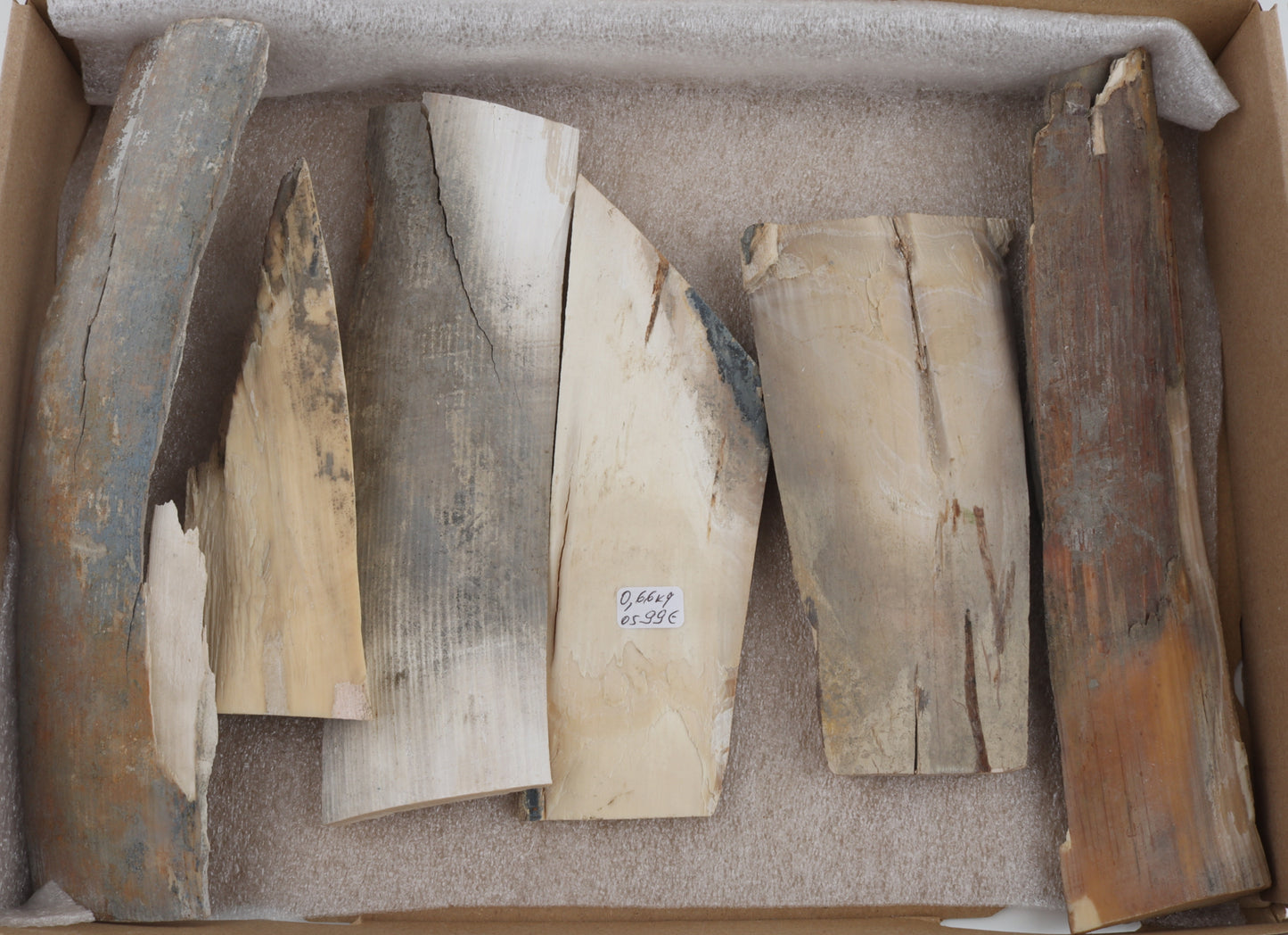 Untreated mammoth ivory pieces
