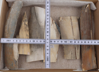 Untreated mammoth ivory pieces