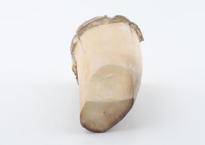 Round mammoth tusk piece