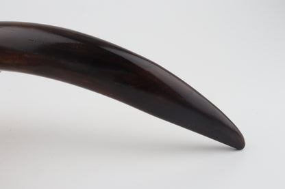 Restored woolly mammoth tusk