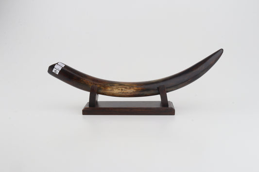 Restored woolly mammoth tusk