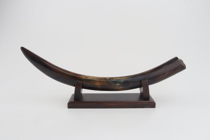 Restored woolly mammoth tusk