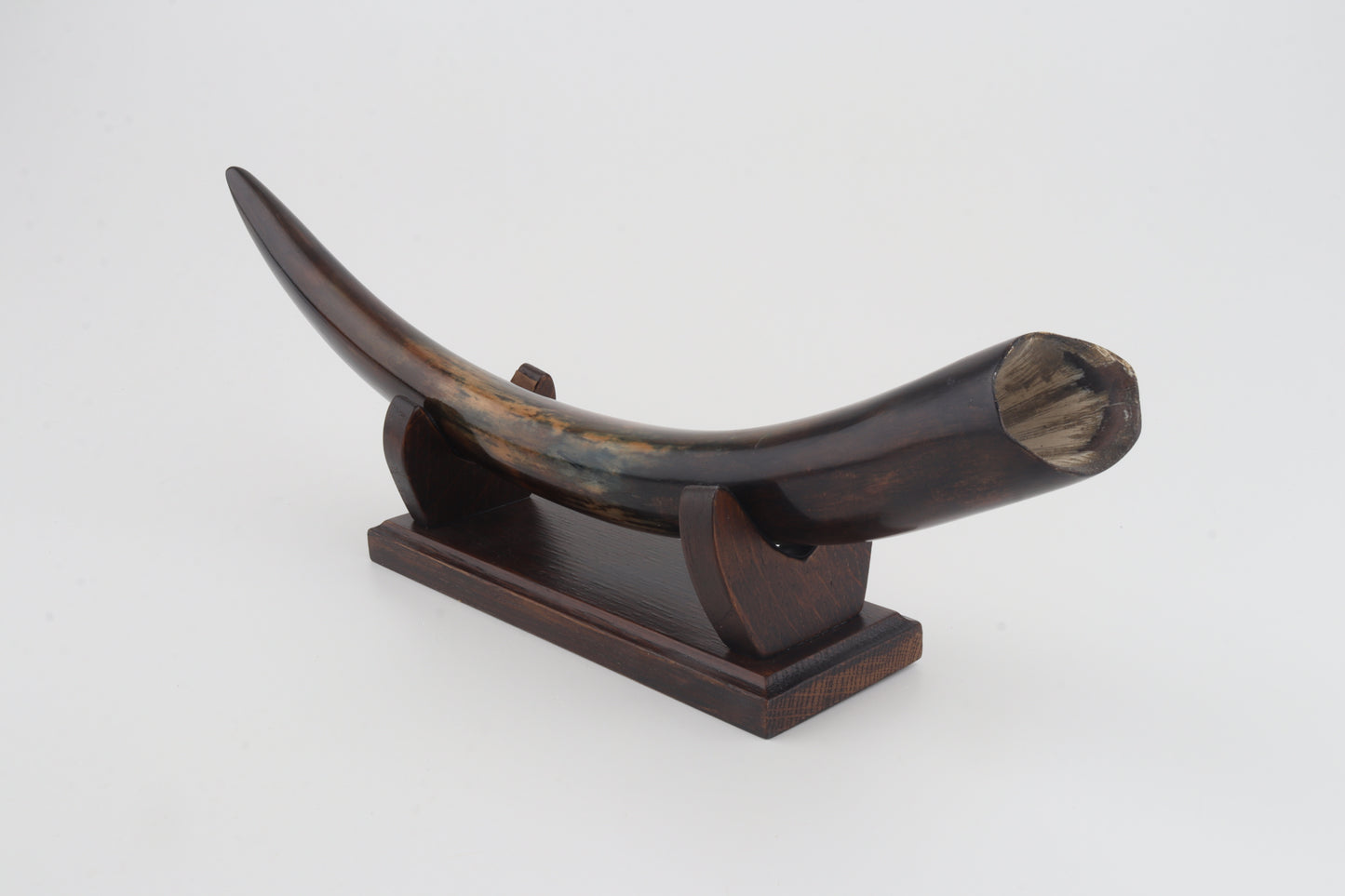 Restored woolly mammoth tusk