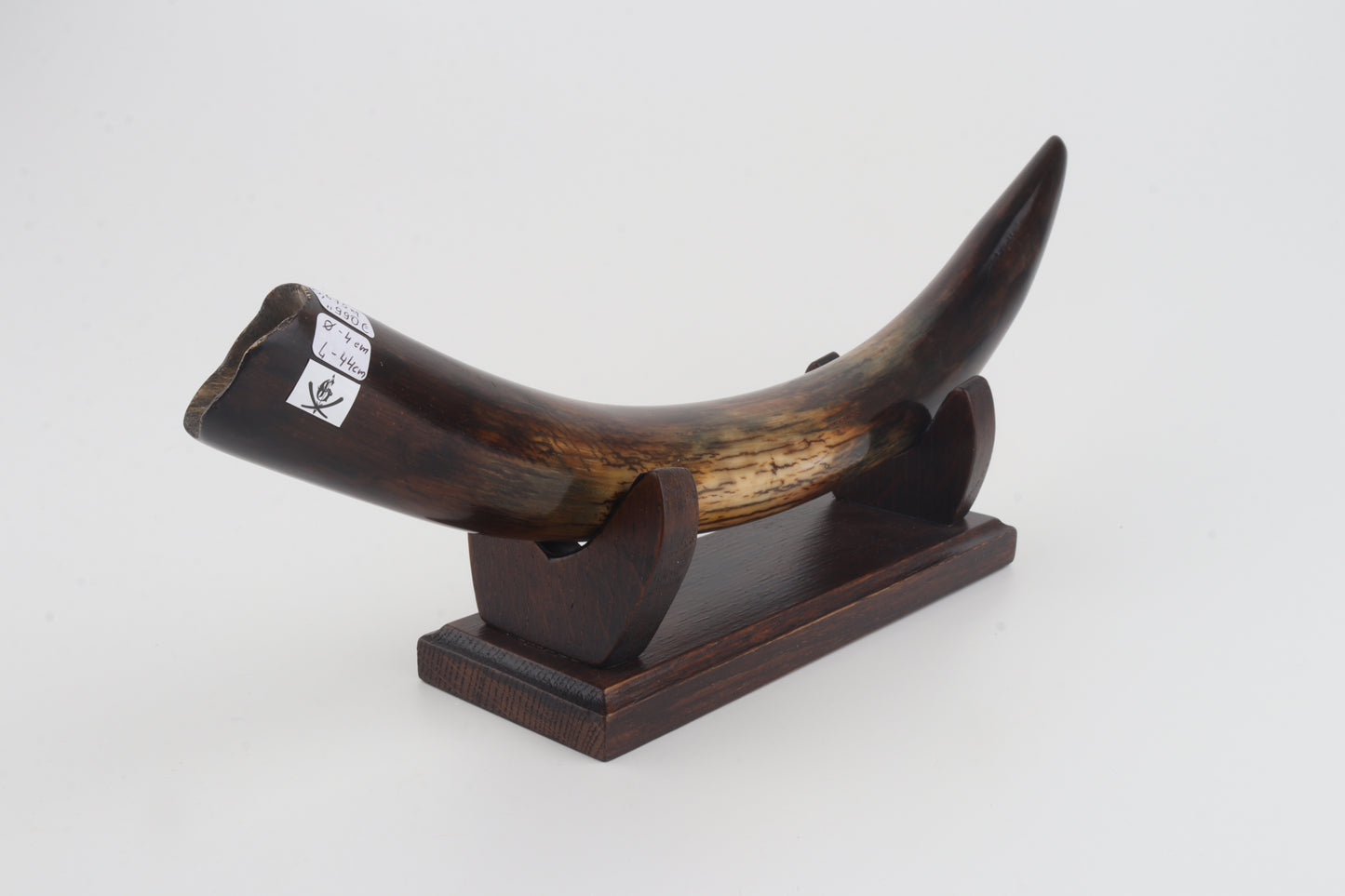 Restored woolly mammoth tusk