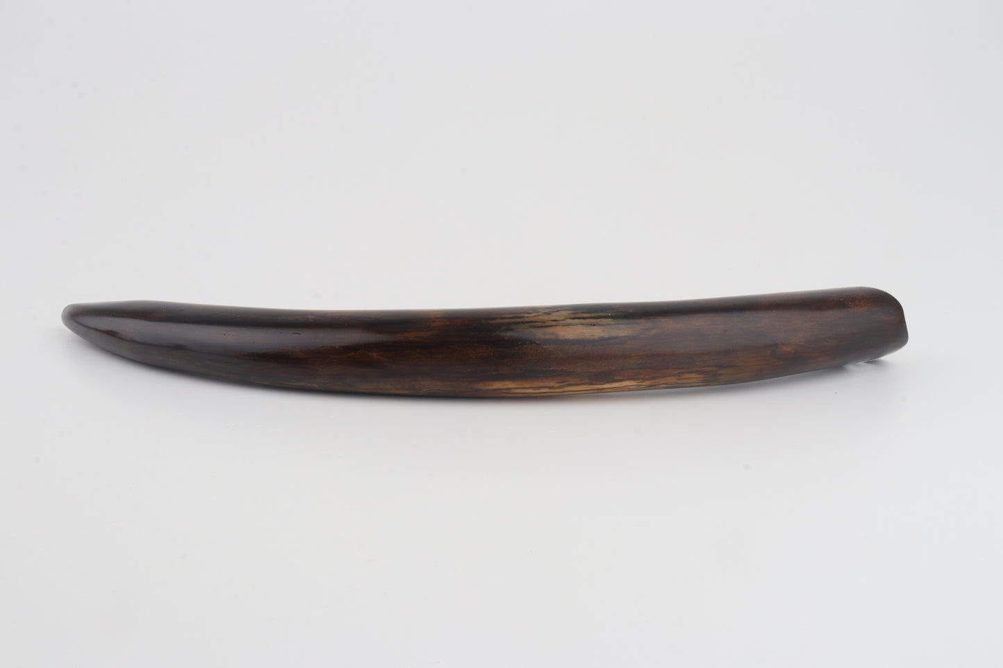 Restored woolly mammoth tusk