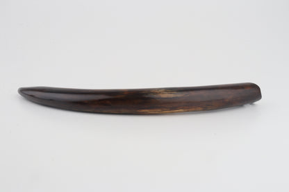 Restored woolly mammoth tusk