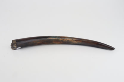 Restored woolly mammoth tusk
