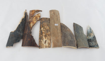 Raw mammoth bark pieces