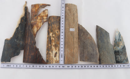 Raw mammoth bark pieces