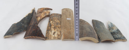 Raw mammoth bark pieces