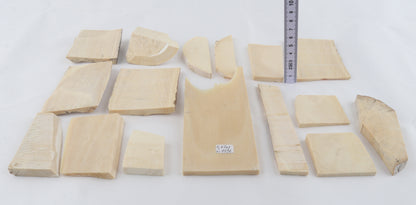 White mammoth ivory piece