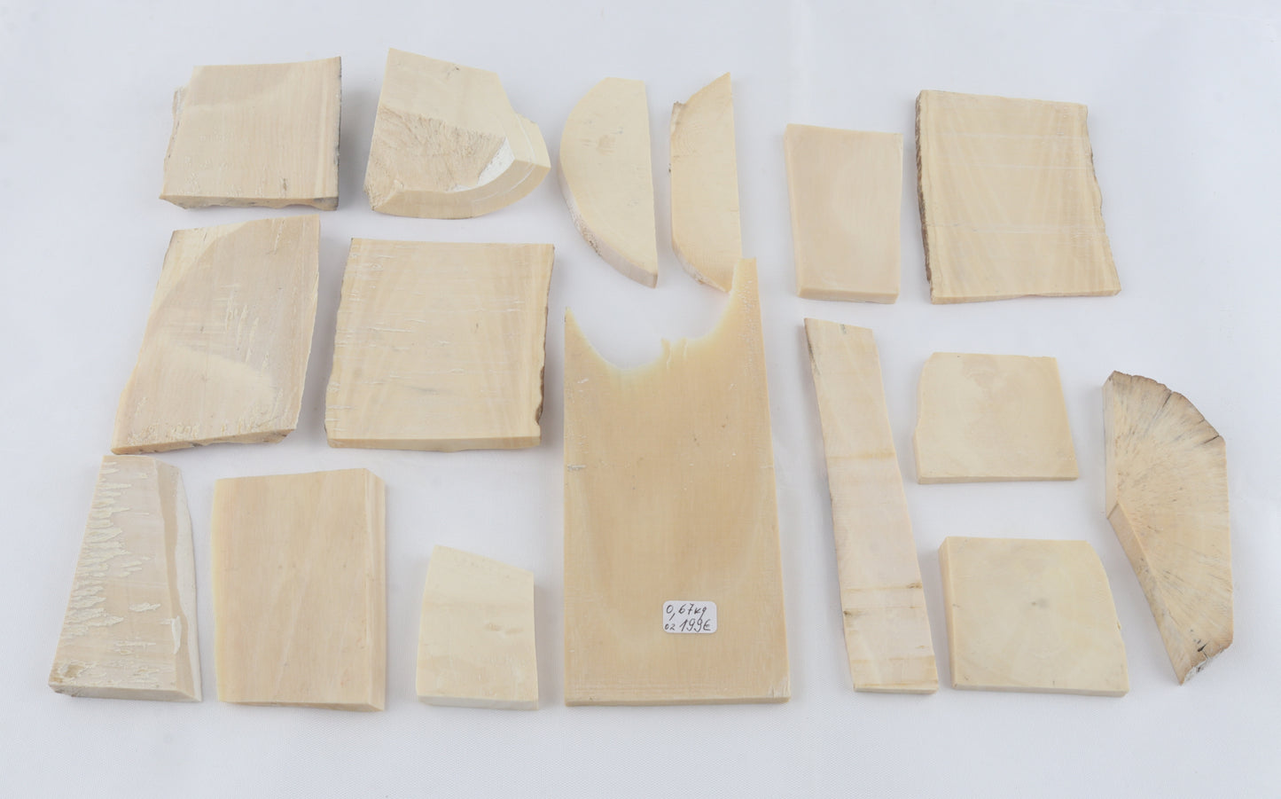 White mammoth ivory piece