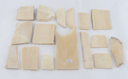 White mammoth ivory piece