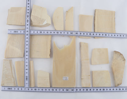 White mammoth ivory piece