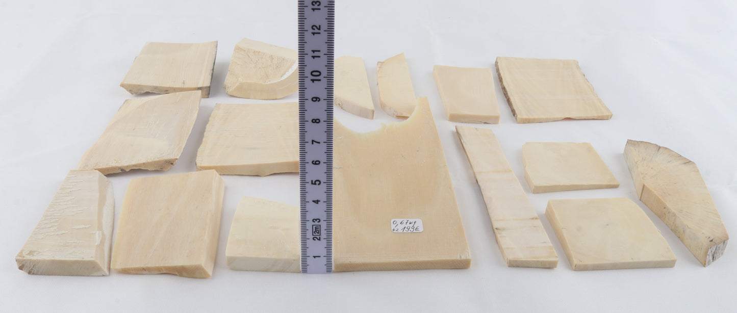 White mammoth ivory piece