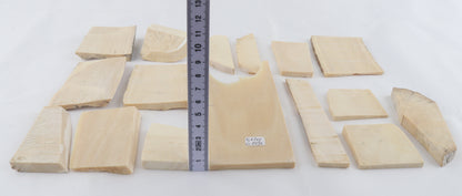 White mammoth ivory piece