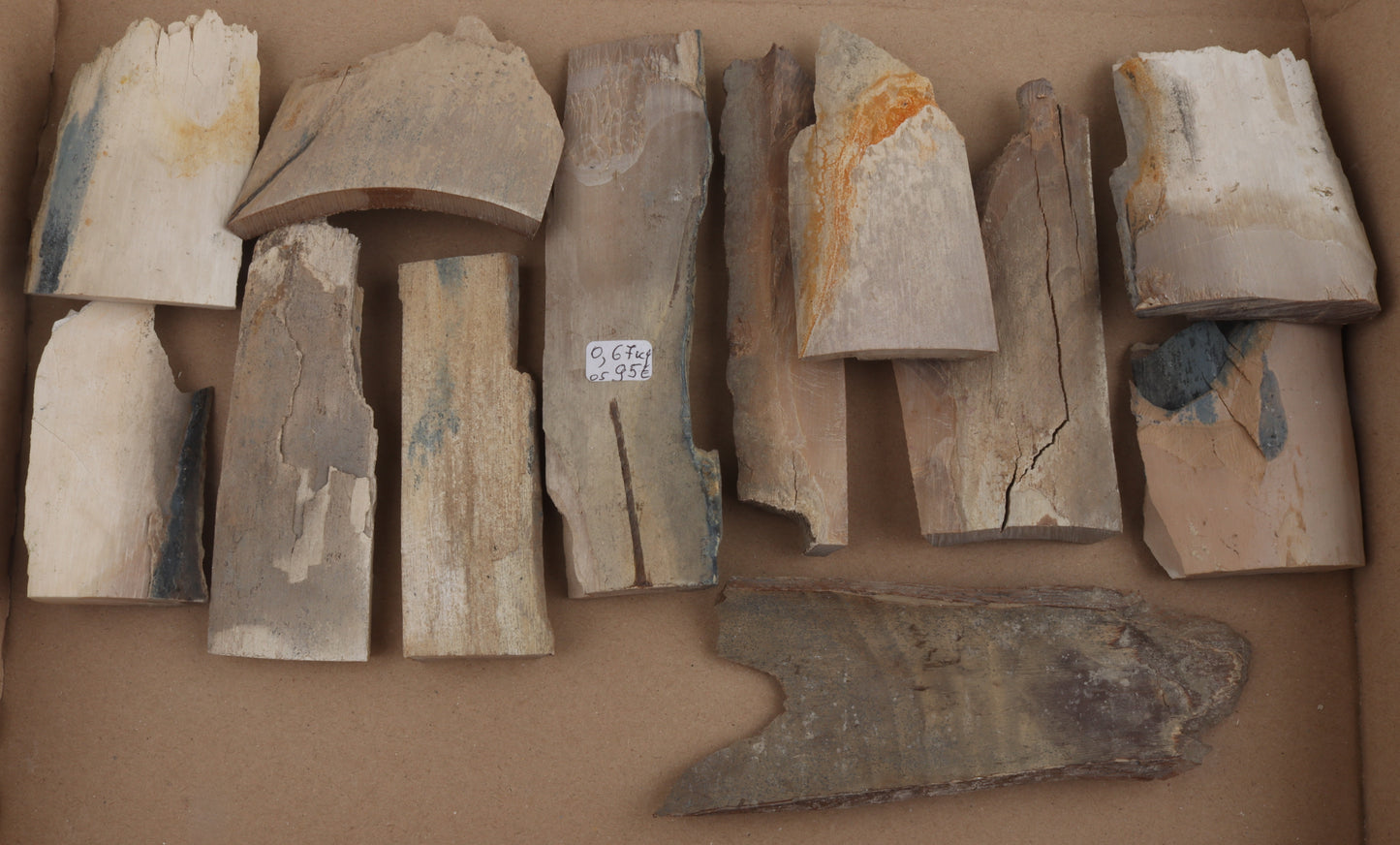 Untreated mammoth ivory pieces