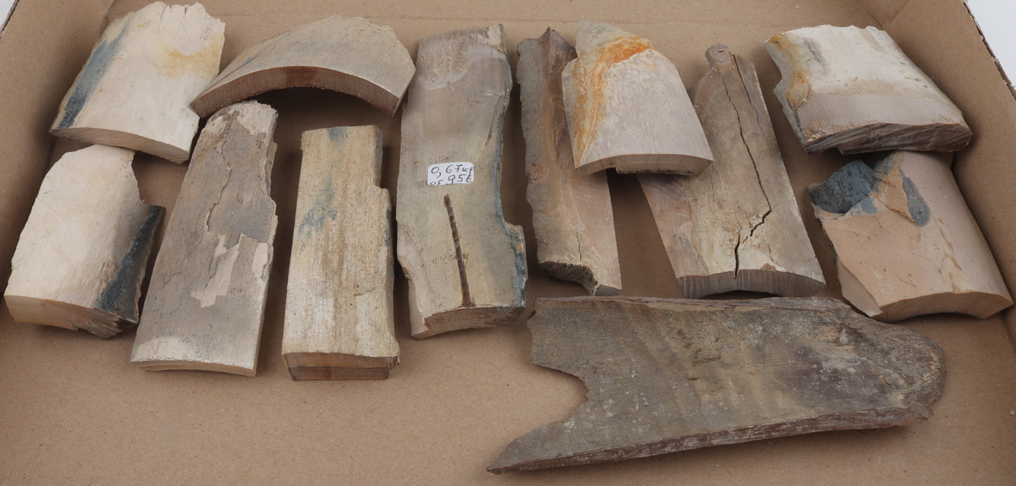 Untreated mammoth ivory pieces