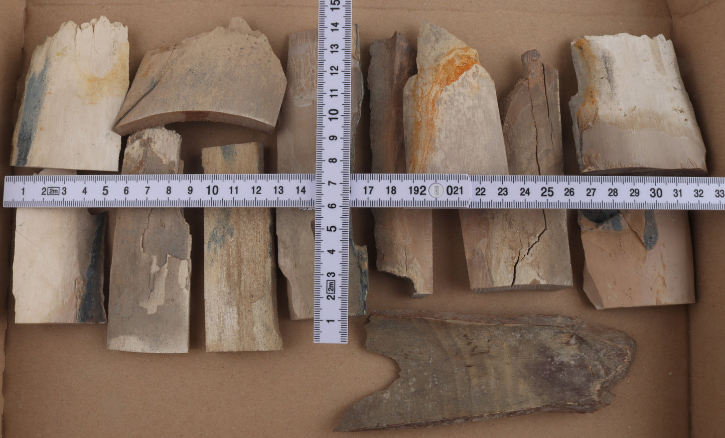 Untreated mammoth ivory pieces
