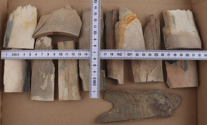 Untreated mammoth ivory pieces