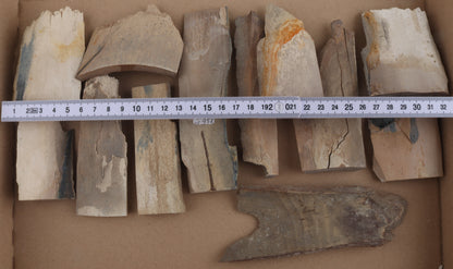 Untreated mammoth ivory pieces