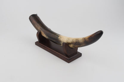 Restored woolly mammoth tusk