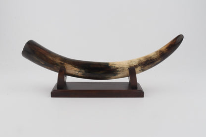 Restored woolly mammoth tusk