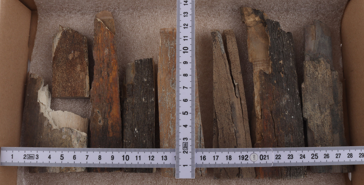 Untreated mammoth bark pieces