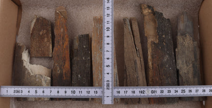 Untreated mammoth bark pieces