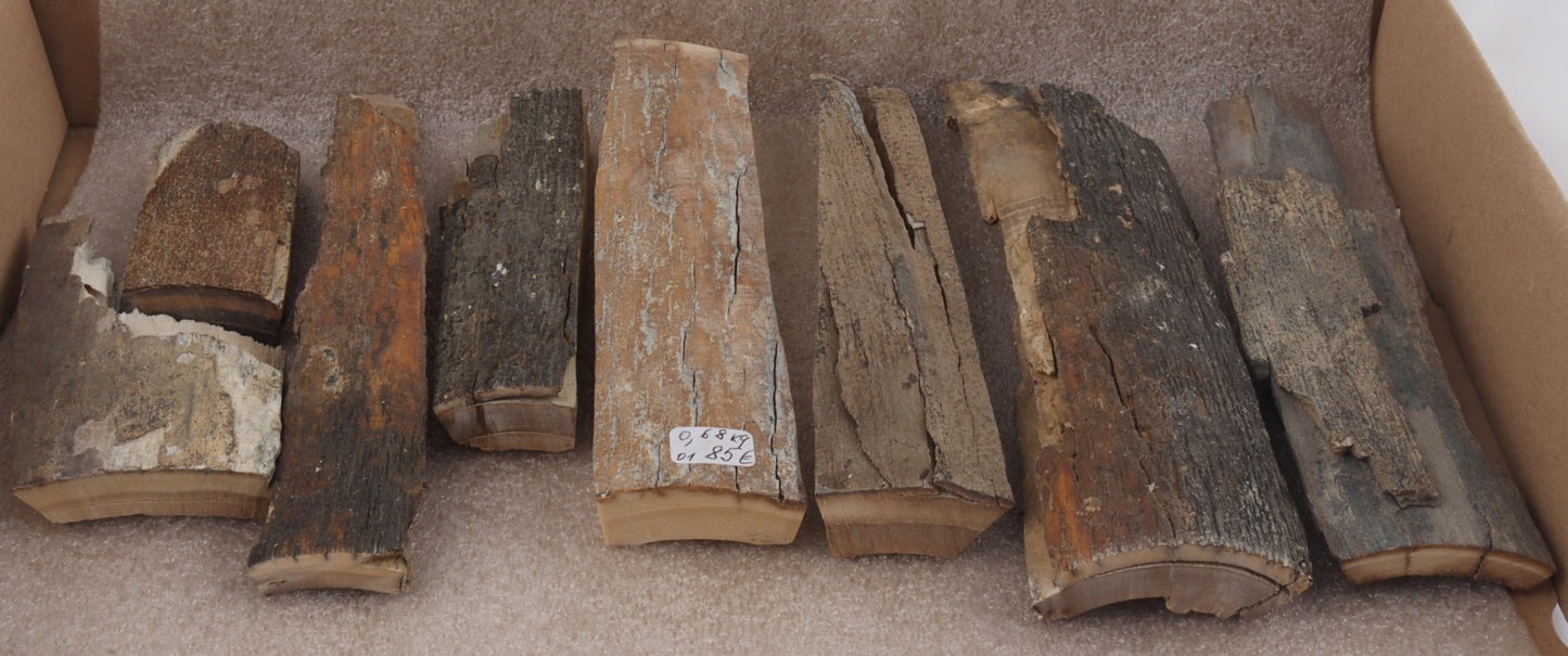 Untreated mammoth bark pieces
