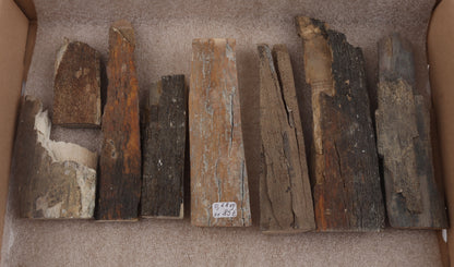 Untreated mammoth bark pieces