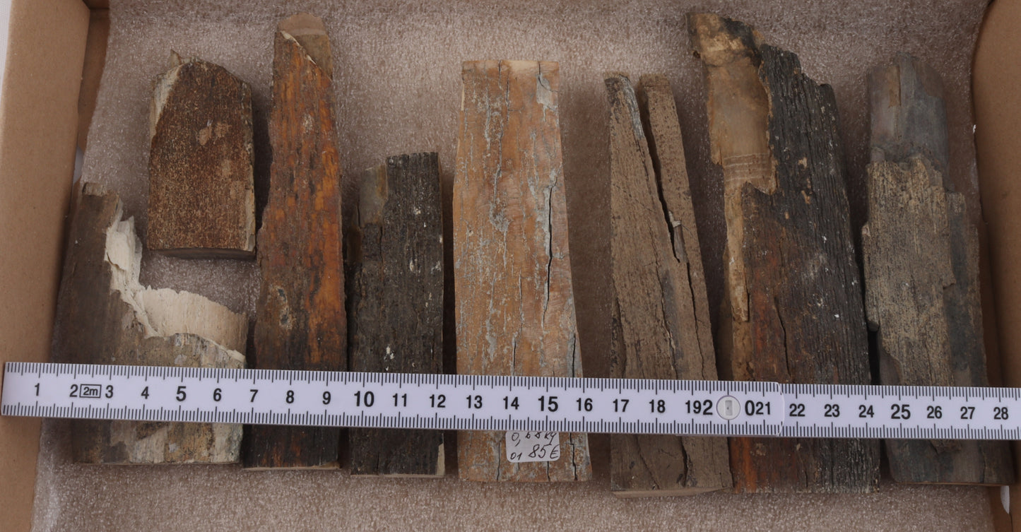 Untreated mammoth bark pieces