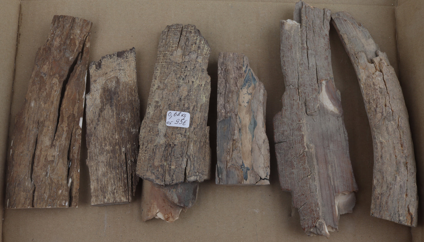 Raw mammoth ivory pieces