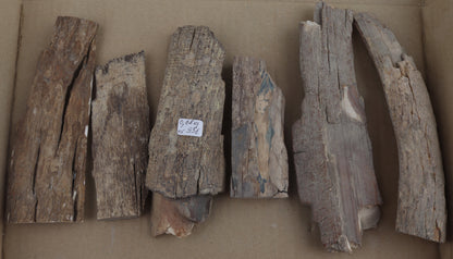 Raw mammoth ivory pieces