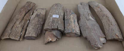 Raw mammoth ivory pieces
