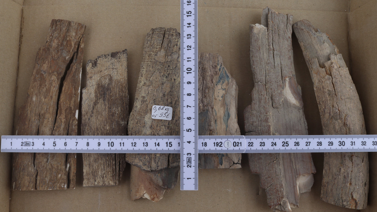 Raw mammoth ivory pieces